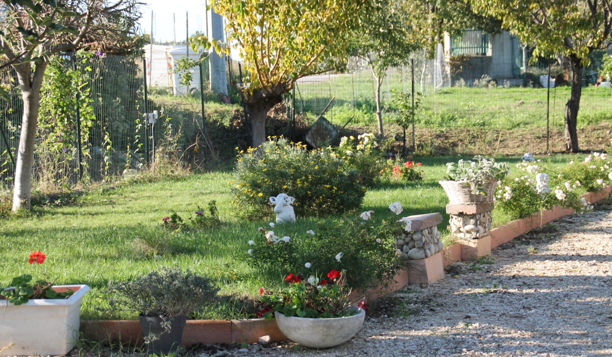 Pepe Rosa B&B - Pepe Rosa B&B Esterno Giardino