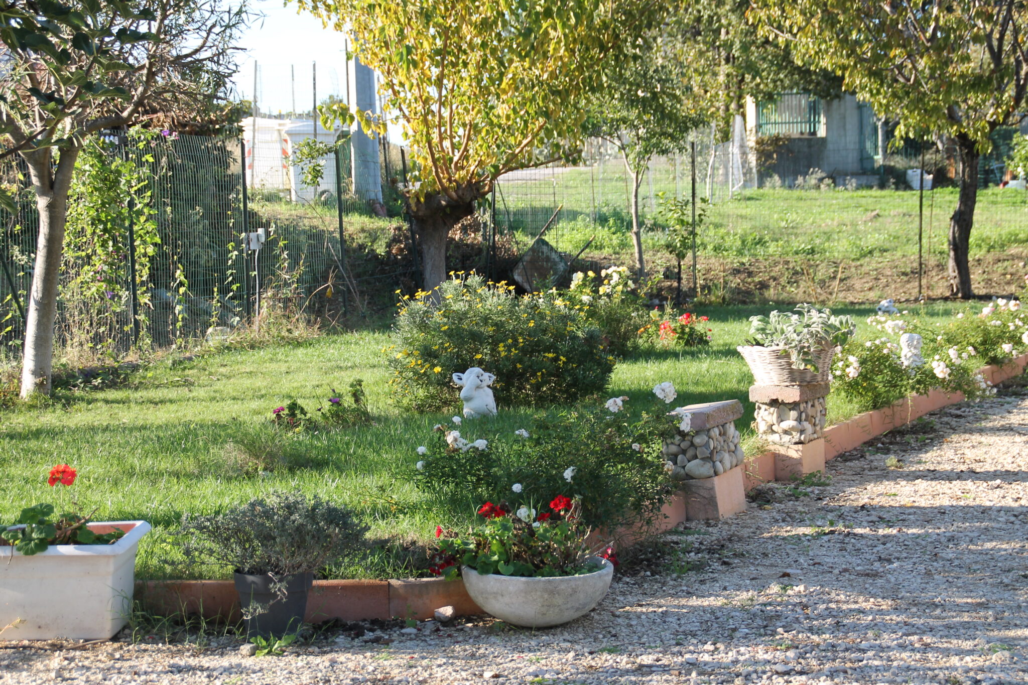 Pepe Rosa B&B - Pepe Rosa B&B Esterno Giardino