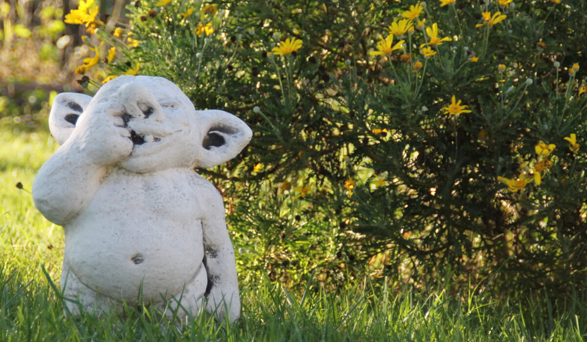 Pepe Rosa B&B - Pepe Rosa B&B Esterno Giardino - Nano Da Giardino