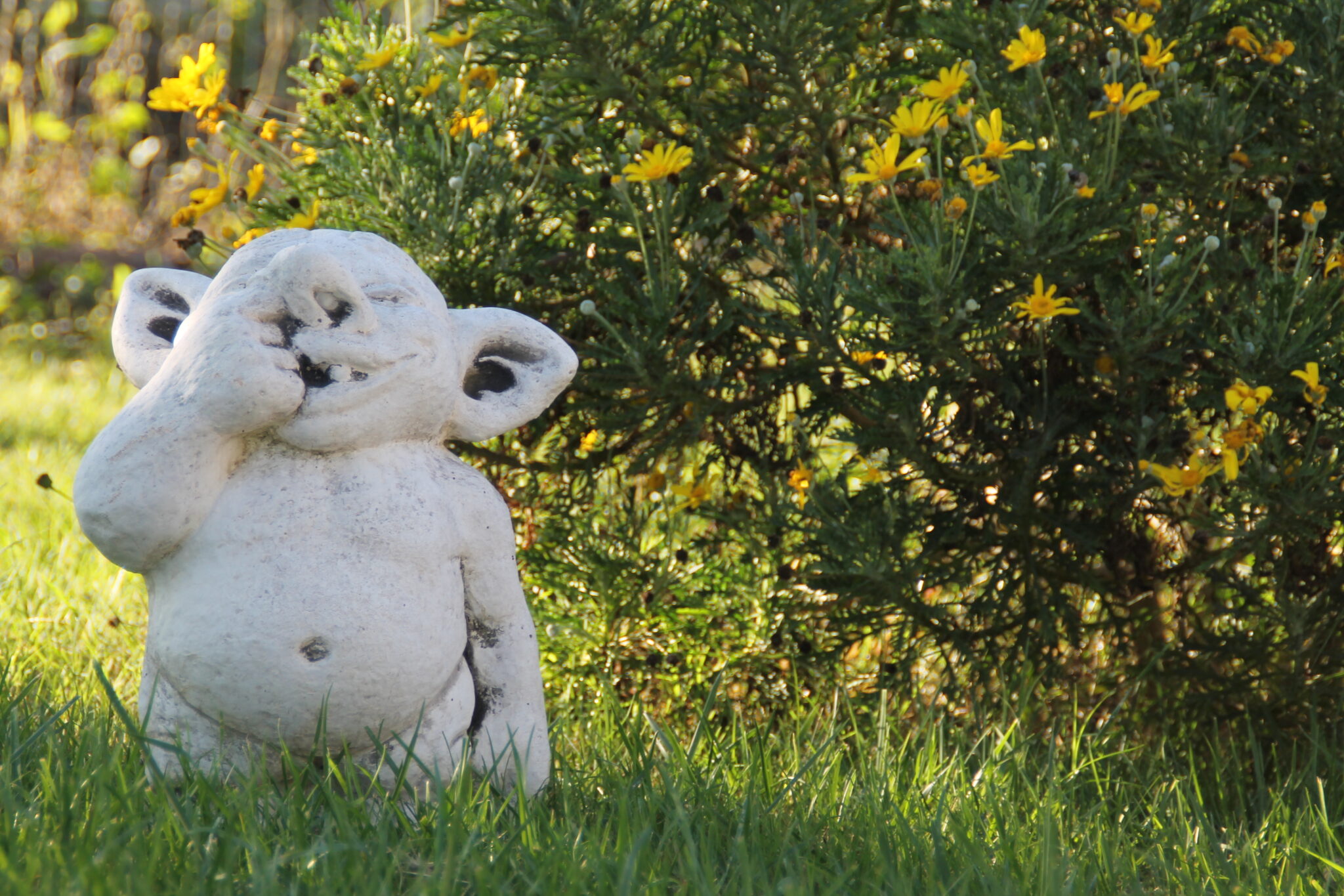 Pepe Rosa B&B - Pepe Rosa B&B Esterno Giardino - Nano Da Giardino