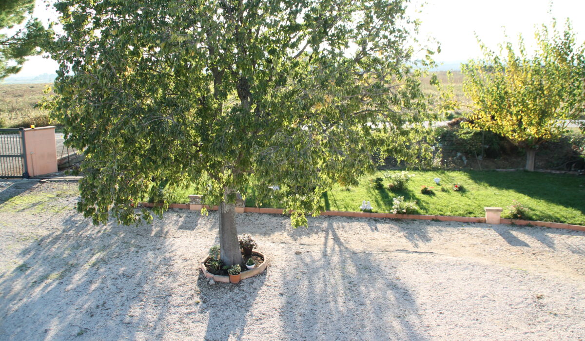 Pepe Rosa B&B - Pepe Rosa B&B Esterno Giardino 3