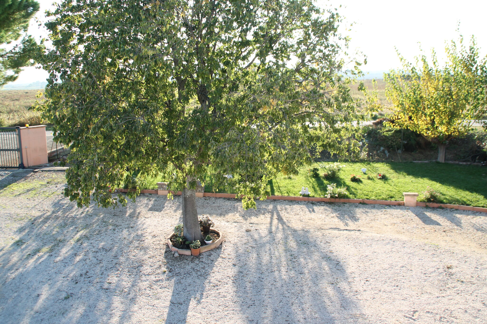 Pepe Rosa B&B - Pepe Rosa B&B Esterno Giardino 3