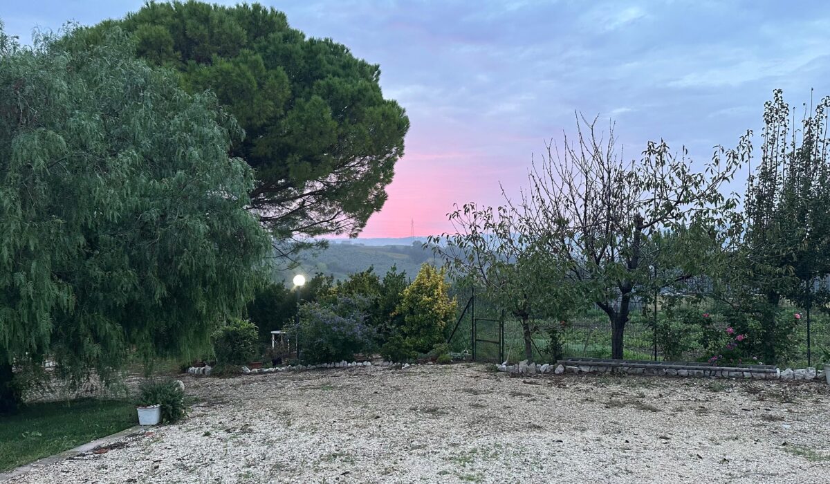 Pepe Rosa B&B - Pepe Rosa B&B Esterno Giardino 3 - Tramonto