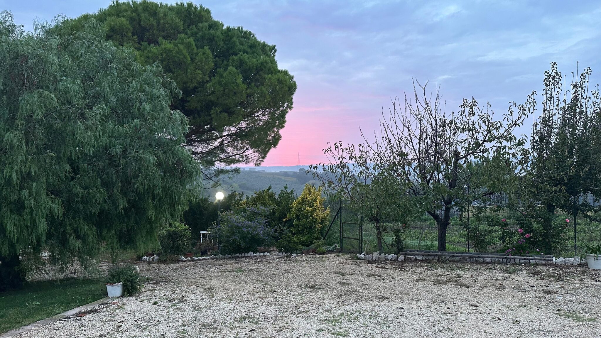 Pepe Rosa B&B - Pepe Rosa B&B Esterno Giardino 3 - Tramonto